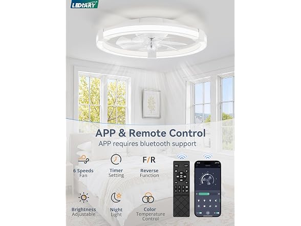 LEDIARY 20" Low Profile Ceiling Fan