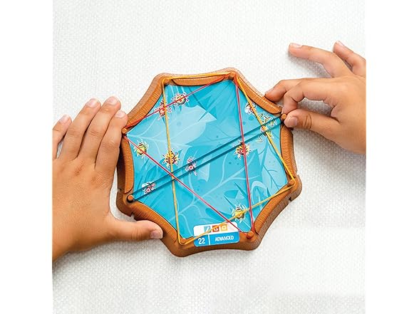 Think Fun Spiderweb: A Bug-Catching Logic Game