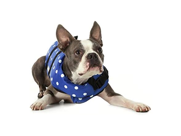 Seachoice Dog Life Vest