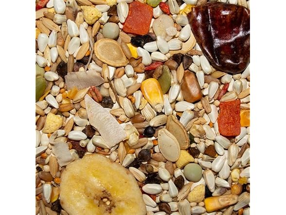 Volkman Avian Science Hookbill Bird Food 4lb