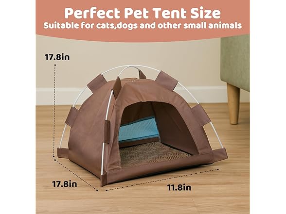 Cat Tent House