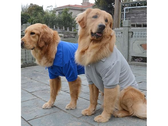 lovelonglong Basic Dog Polo Shirts Premium C