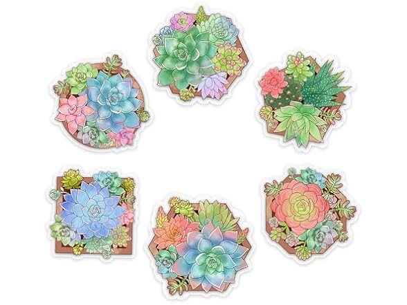LERIAR Clear Succulent Plants Sticker