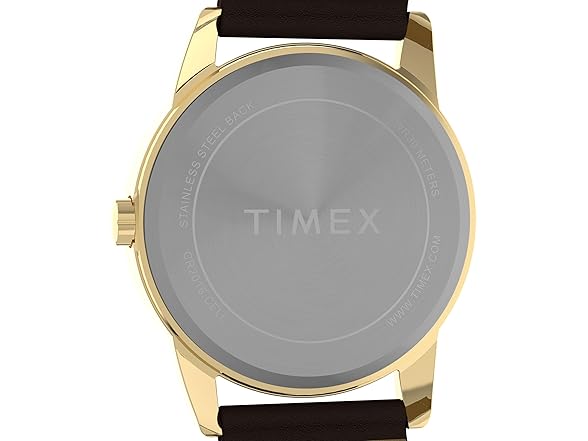 Timex Mens Easy Reader Watch Brown White