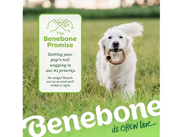 Benebone Ring Durable Dog Chew Toy