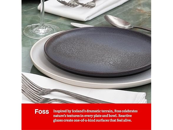 Eater x Zwiesel Fortessa Foss Stoneware, 12 Piece Dinnerware Set (Volcanic Gray