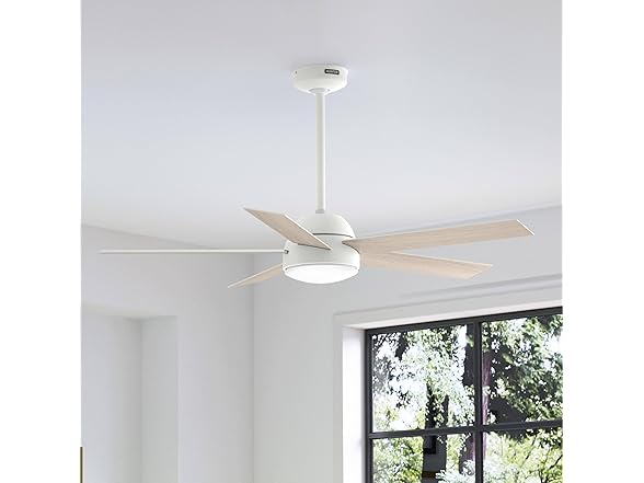 Hunter Fan 52 Inch White Indoor/Outdoor Ceiling fan - Gallery 3