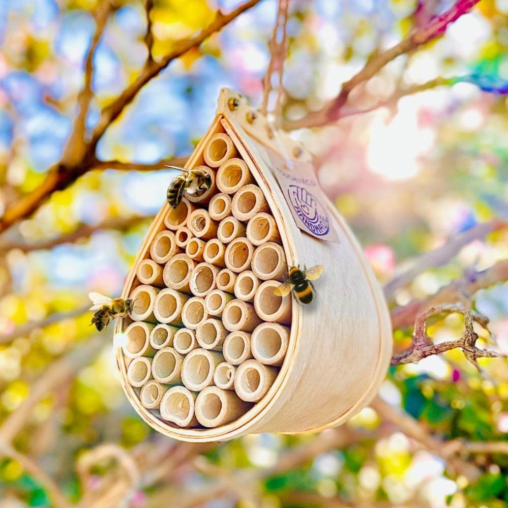 Pollinating Palace - Bee House 2Pk - Gallery 7