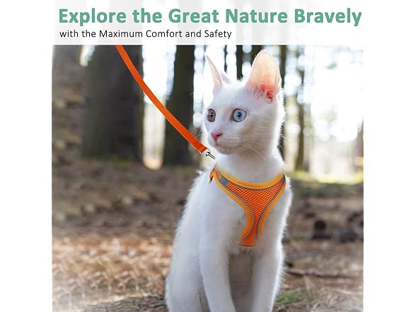 Cat Harness and Leash- Reflective Mesh Cat V