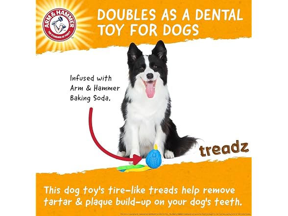 Arm and Hammer for Pets Super Treadz Large Rooster