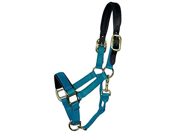 Intrepid International HALTER O/S 11-16