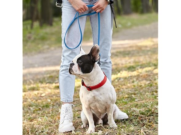 Dogline Biothane Waterproof Dog Leash