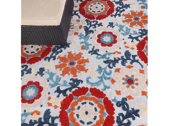 Superior Petunia Floral Scroll Rug 5x8