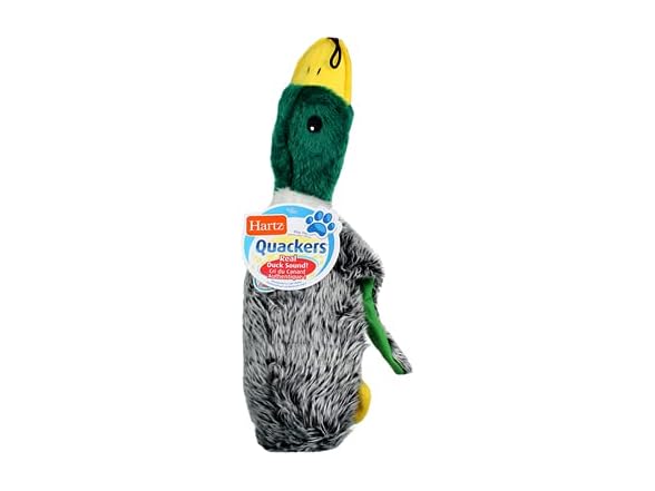 Hartz 05445 At Play Quackers Dog Toy Assorted