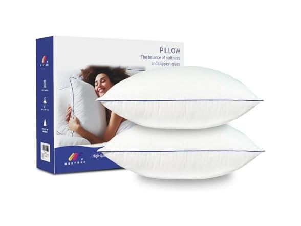 Pillow Insert Set of 2