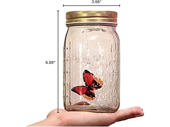 Animated Butterfly Jar That Moves