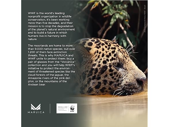 Light Blocking Glasses