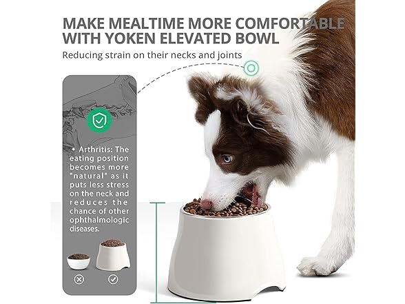 Yoken Sturdy Elevated Dog Bowls 2 Packs,