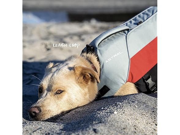 Astral BirdDog Canine Life Jacket - Durable