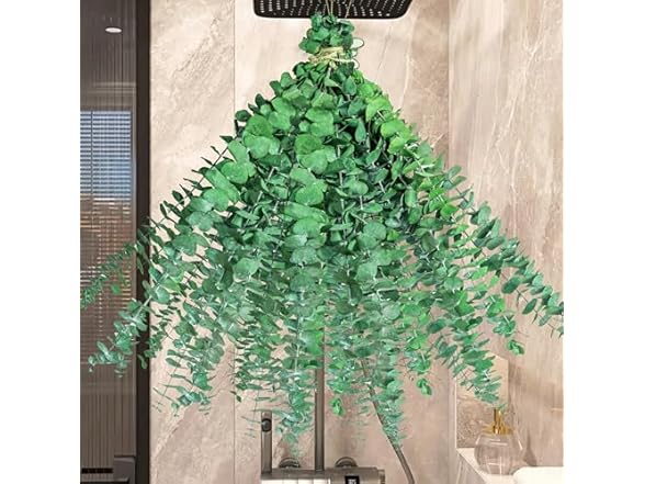WILD AUTUMN Natural Eucalyptus Stems 30PCS-17 Real