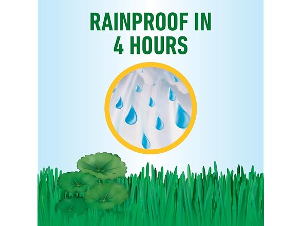 Roundup for Lawns Concentrate,  32 fl. oz.