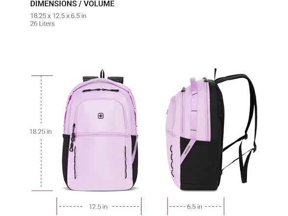 SwissGear Versa Laptop Backpack