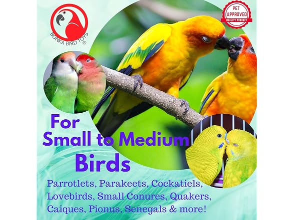 Bonka Bird Toys Christmas Xmas Forage Shred