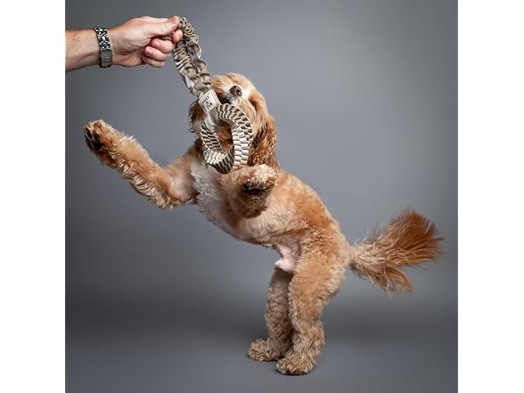 NOAH & PAW Luxury Dog Toy, Dog Rope Toy- Tug Ring, Beige