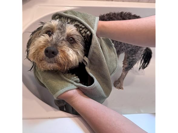 SPOT Clean Paws Chenille Microfiber Dog Towel