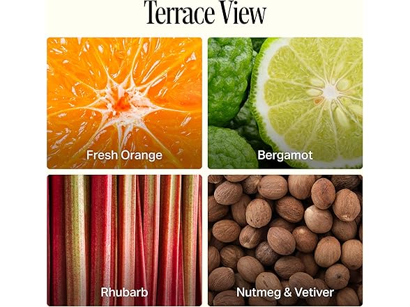 Preston Lane Terrace View Soy Candle 4 Wick 72oz