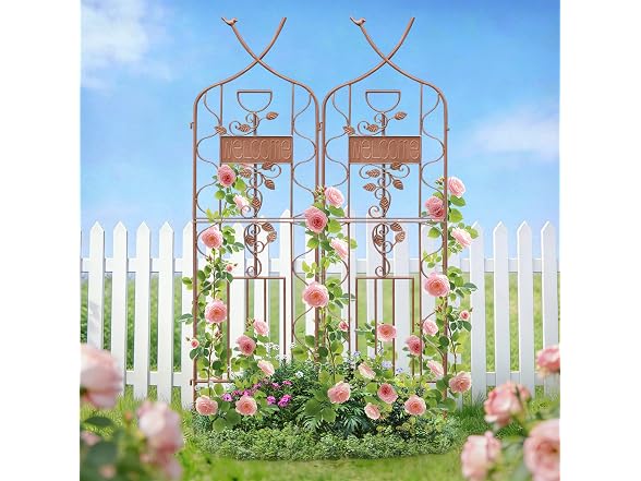LZRS 2Pk 59.5*18in Rustic Garden Trellis
