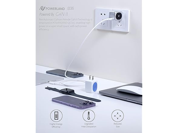 POWERLAND 65W GaN USB-C Charger