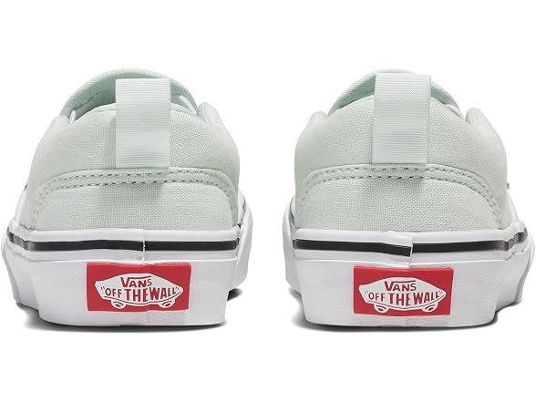 Vans Asher Slip-On Shoe