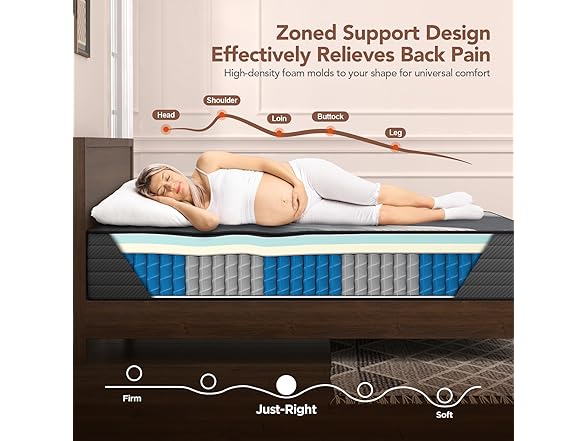 Lechepussleep Queen Mattress 10 Inch