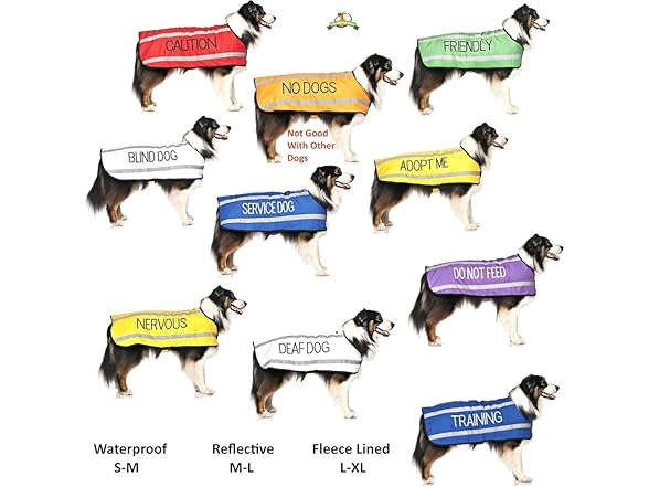 NO Dogs Dexil Friendly Dog Collars