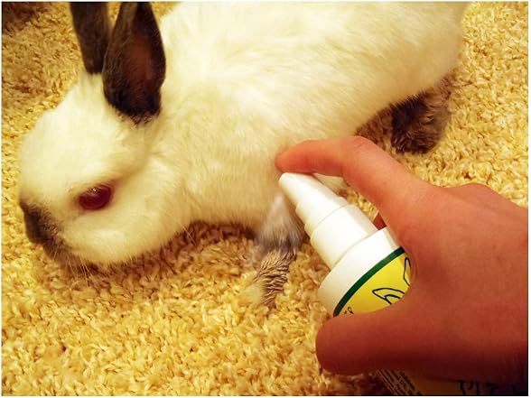 Grannick's Taste Deterrent for Dogs, 8 0z Pump Spray