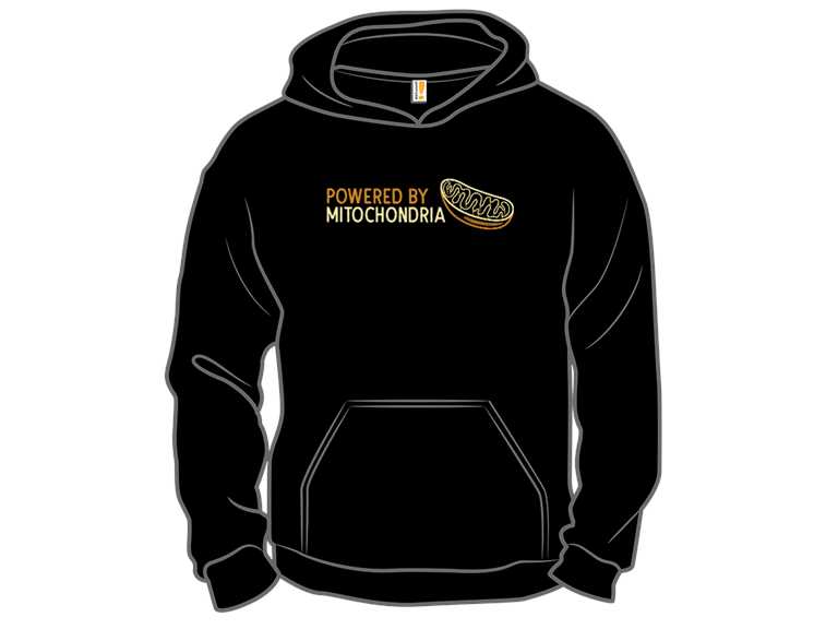 Powered By Mitochondria