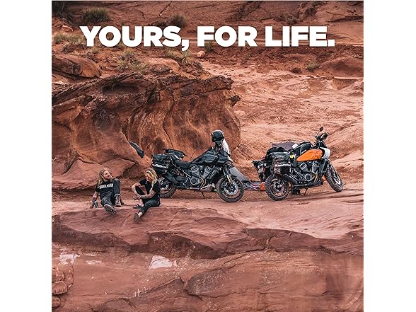 Benchmade Griptilian Knife - Plain Edge