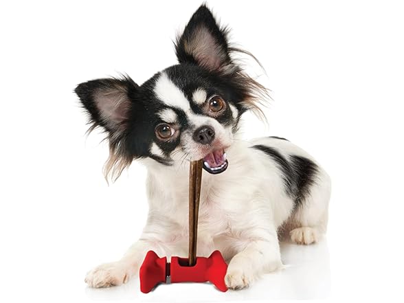 SPOT Bully Stick Treat Holder