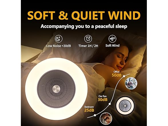 Voice Control Low Profile Ceiling Fan RGB
