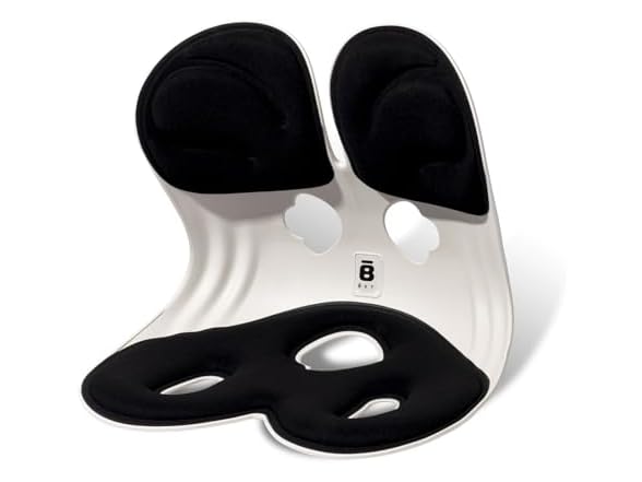 BKT Lumbar Support Seat Cushions