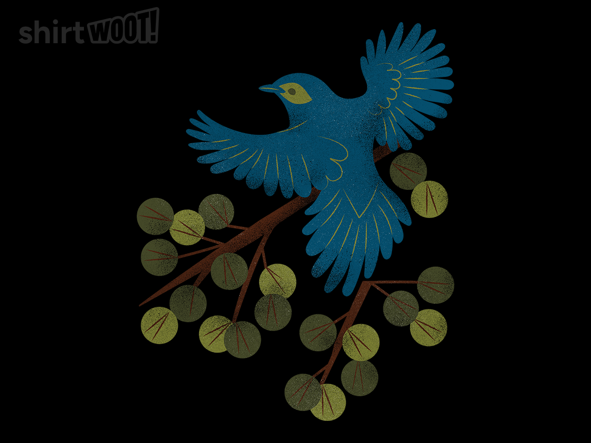 Bird perched on the branch - Gallery 9