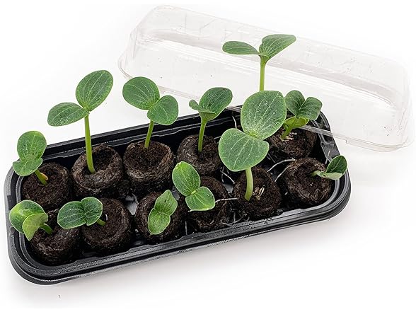 Jiffy Seed Starting Kit, 12 Cell 36mm 