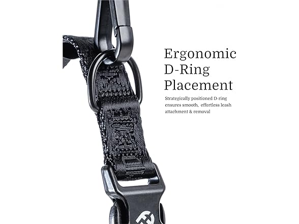 Fei & Eve Classic Dog Collar, 900D, Heavy Duty Adjustable S