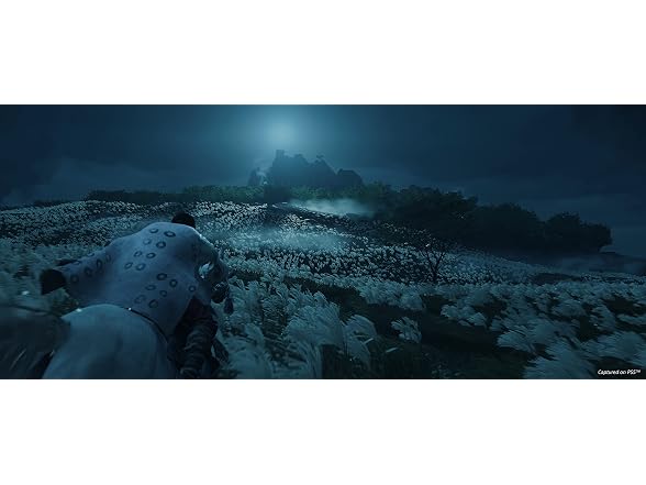 Ghost of Tsushima Director's Cut - Gallery 5