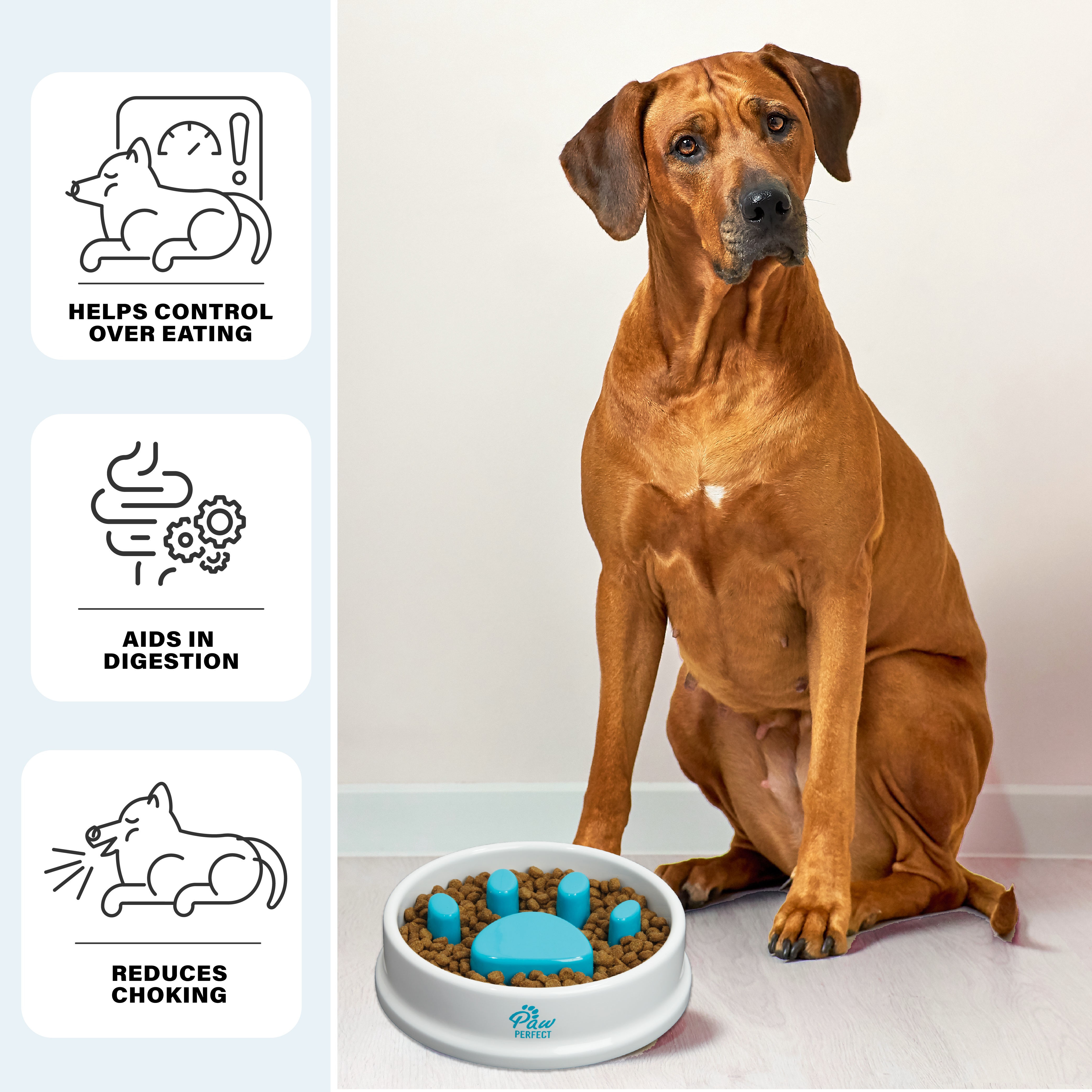 1, 2 or 3-Pk Slow Feeder 32 oz Pet Bowl - Gallery 12