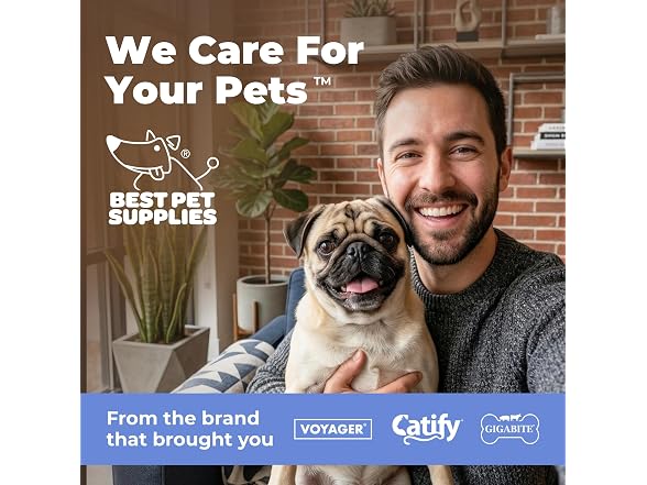 Best Pet Supplies Elevated Dog Car Seat for Small Dogs