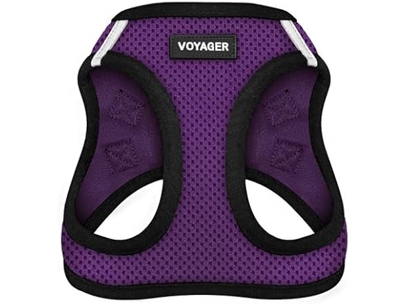 Purple/Black Trim