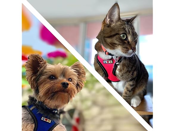 Pawtitas Dog Vest Harness Made with Breathab