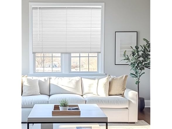 CHICOLOGY Blinds for Windows, Mini Blinds